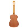 Ortega R121-7/8 - gitara klasyczna