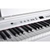 Ringway RP120 WH - pianino cyfrowe