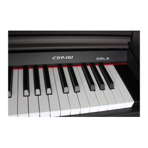 Orla CDP 101 Rosewood - pianino cyfrowe