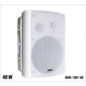 RH SOUND BS-1060TS/W - Głośnik 100V