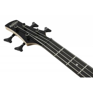 Ibanez GSR280QA-TYS - Gitara Basowa