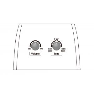 Ibanez AAD1012E OPN - Gitara elektroakustyczna 12-strunowa