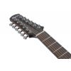 Ibanez AAD1012E OPN - Gitara elektroakustyczna 12-strunowa