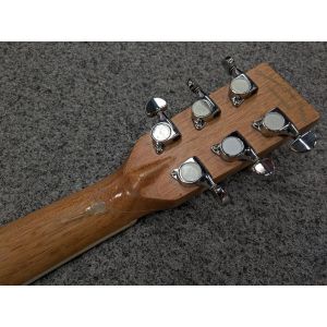 Tanglewood TPE-F-LSC - gitara akustyczna - USZKODZONA