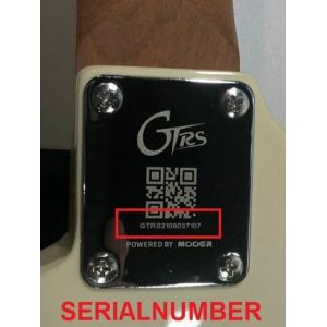 GTRS S800 GR - gitara elektryczna