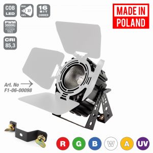 Flash PAR64 LED P300 +AUV