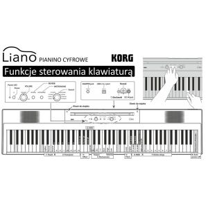 KORG L1 LIANO - pianino cyfrowe