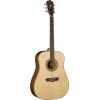 WASHBURN WD 10 (N) seria WD - gitara akustyczna