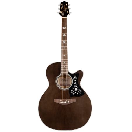 TAKAMINE GN75CE-TBK