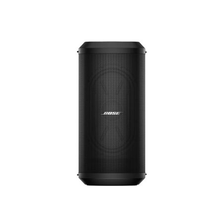 BOSE SUB 1