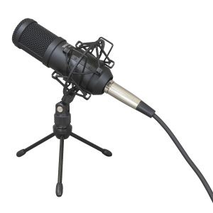 Tascam TM-70 - Mikrofon dynamiczny do Podcastów