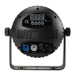 Flash PAR64 LED 2810