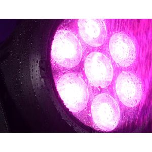 EUROLITE LED IP PAR 7x10W RGBL spot - Reflektor LED PAR wodoodporny