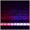 CHROMATEQ CLUB 512 sterownik DMX interfejs + pilot
