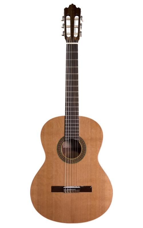 Prodipe Guitars Recital 200 4/4 - gitara klasyczna Prodipe Guitars Recital 200 4/4 - gitara klasyczna