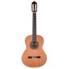 Prodipe Guitars Recital 300 4/4 - gitara klasyczna
