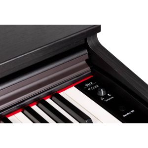 Orla CDP-1 RW - pianino cyfrowe