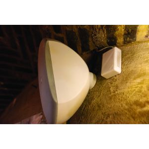 DAP WMS8-W - Pasywny głośnik ścienny 8” - 16 Ω - biały