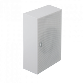 DAP WS-6W - 5” pasywny głośnik instalacyjny 100 V