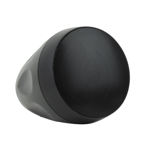 DAP DPS-530 - Pasywny głośnik wiszący 5,25” - czarny