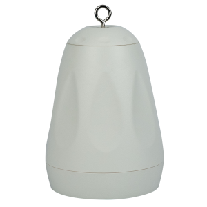 DPS-640 - Pasywny głośnik wiszący 6,5” - biały