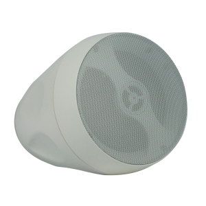 DPS-640 - Pasywny głośnik wiszący 6,5” - biały