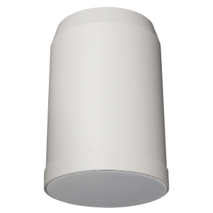 DAP HS-510P - Pasywny 5-calowy wiszący głośnik rurowy - biały