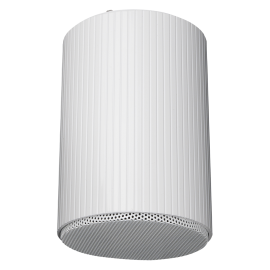 DAP HS-510M - Pasywny 5-calowy wiszący głośnik rurowy - biały