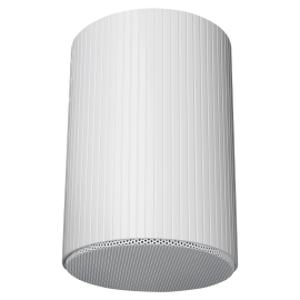 DAP HS-620M - Pasywny 6-calowy wiszący głośnik rurowy - biały