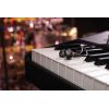 Beyerdynamic DT 73 IE - słuchawki monitoringu dousznego In-Ear zaprojektowane do instrumentów klasycznych i klawiszowych