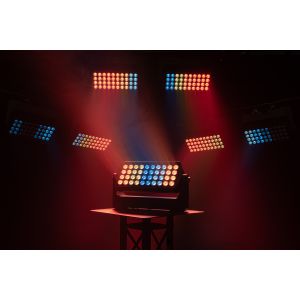 Infinity Raccoon W40 4 - naświetlacz LED