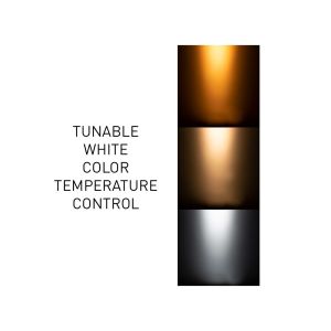 ADJ 40 Hex IP Panel - naświetlacz LED