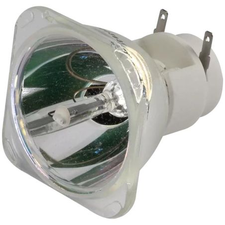 Flash LAMP 10R