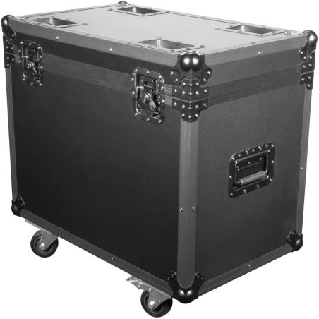 Flash CASE FOR 2x WASH FX 300