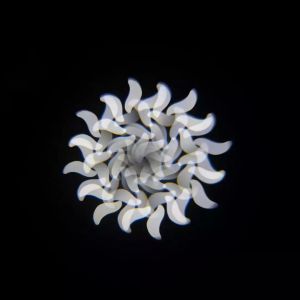 Flash SPOT 150 v2305 - głowa ruchoma (F7100770)