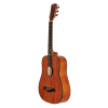 ARS NOVA AN-450 G 3/4 TRAVELLER  - gitara akustyczna (połysk)