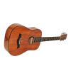 ARS NOVA AN-450 G 3/4 TRAVELLER  - gitara akustyczna (połysk)