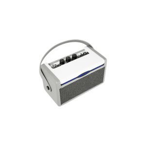 Mooer SD 10I GR - combo gitarowe  2x 2" / 10 Watt, Szary