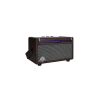 Mooer SD 10I 15Y - combo gitarowe 2x 2" / 10 Watt, 15 Years Anniversary Edition