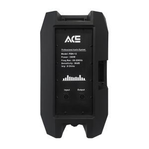 ACE PBN-12 - kolumna pasywna