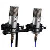 Aston Microphones Spirit Stereo Pair - para mikrofonów pojemnościowych