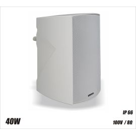 RH SOUND DN-5T  - Głośnik 100V