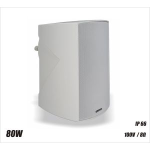 RH SOUND DN-8T/W - głośnik 100V