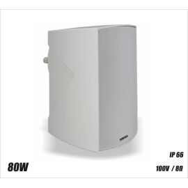 RH SOUND DN-8T/W - głośnik 100V