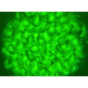 Contest VH2O-90 - reflektor LED SPOT