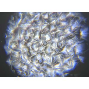 Contest VH2O-90 - reflektor LED SPOT