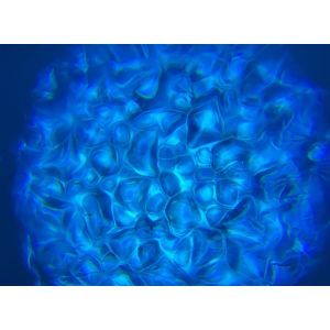 Contest VH2O-90 - reflektor LED SPOT