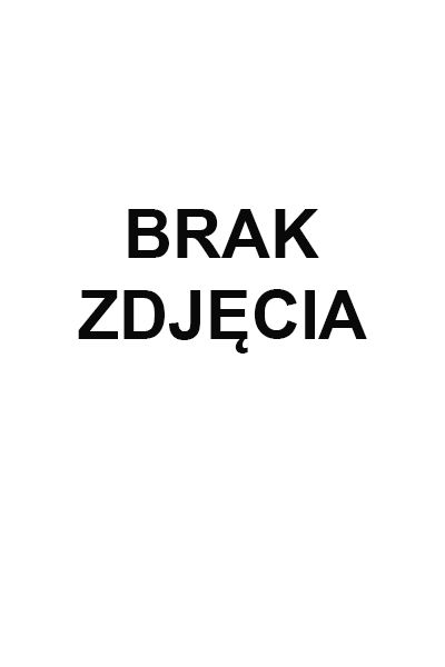 NUX ZASILACZ 12V 1.5A DO WZMACNIACZY