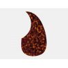 Goldo PG1S - pickguard do gitary akustycznej