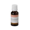 CENTOLIGHT FF20ML-PASSION ZAPACH DO PŁYNU DYMNEGO BUT.20ML